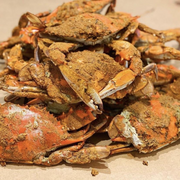 Cold Steamed Crabs - HALF OFF!