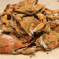 Cold Regular Male Steamed Crabs